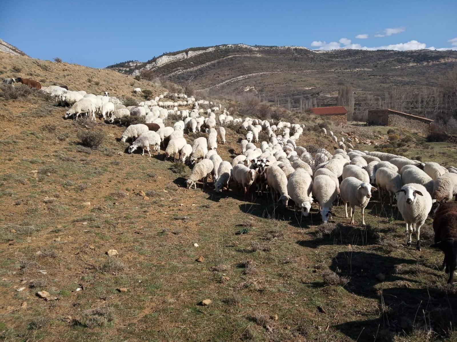 Casa Rural Chulilla Villarroya de los Pinares Kültér fotó