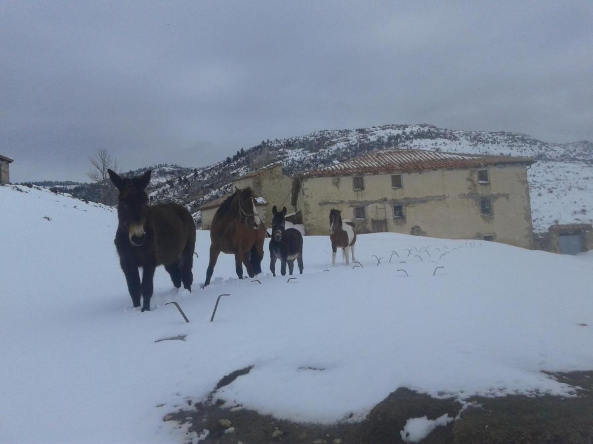 Casa Rural Chulilla Villarroya de los Pinares Kültér fotó