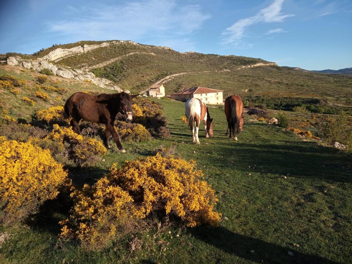 Casa Rural Chulilla Villarroya de los Pinares Kültér fotó